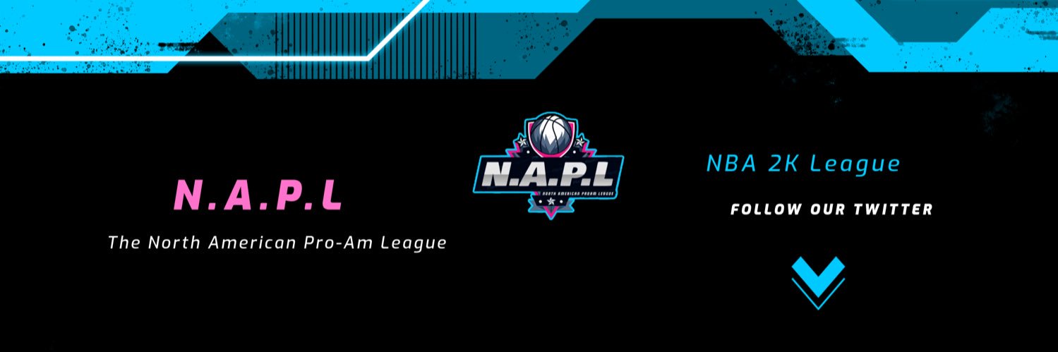 NAPL banner