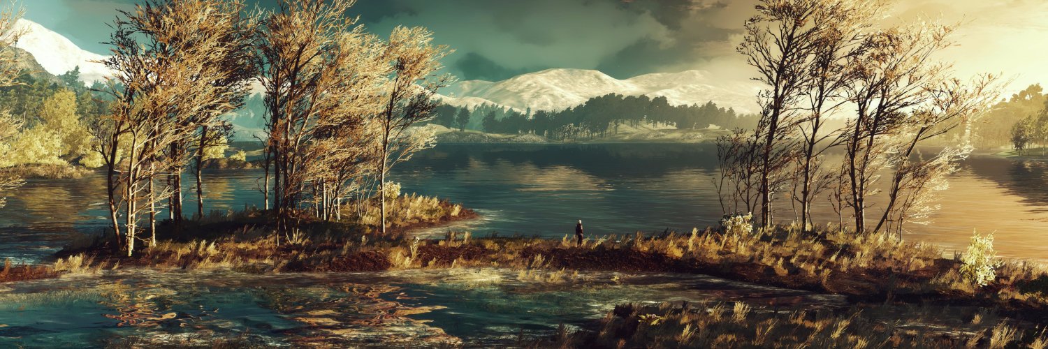 Jeffrey de Wit banner