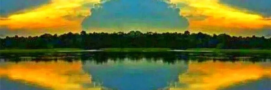 darfdias's profile banner image