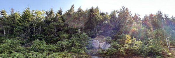 LShoukri Profile Banner