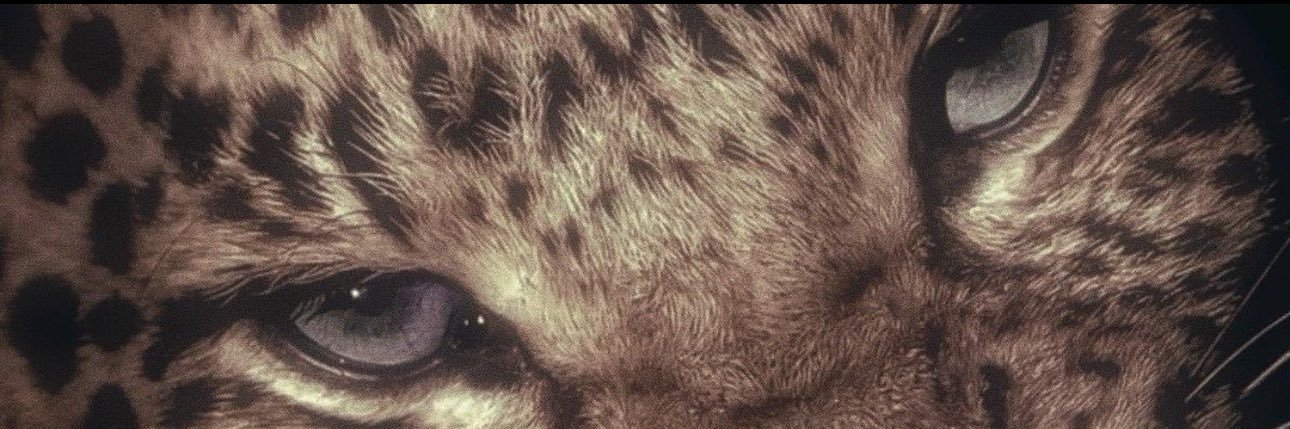 ⋆｡𖦹°⭒˚｡⋆ banner