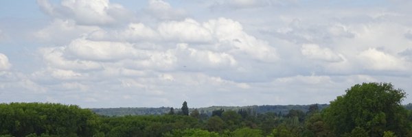cjpeck Profile Banner