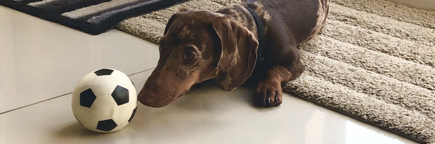 skybluesausage's profile banner image