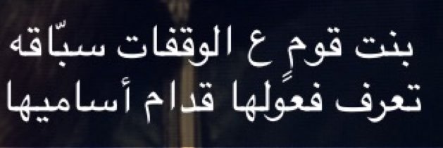 11_meshmesh's profile banner image