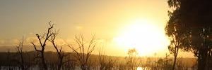 Melissa Bengtson(🌸, 🌿).lens banner