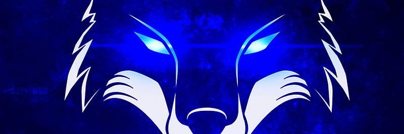 Leonel_Cruz's profile banner image