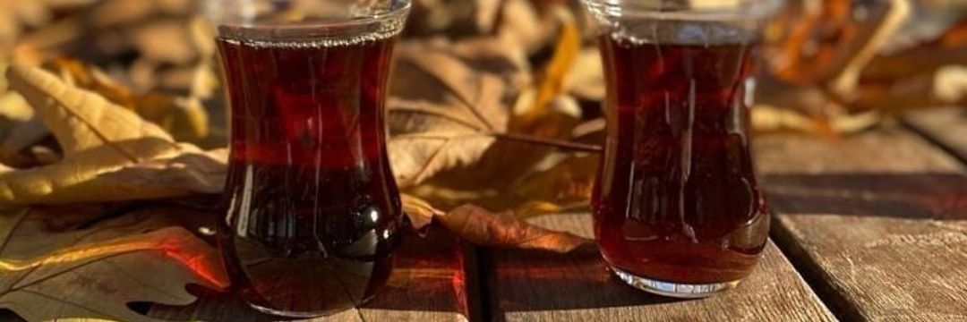 Selahattin Eyyubi banner