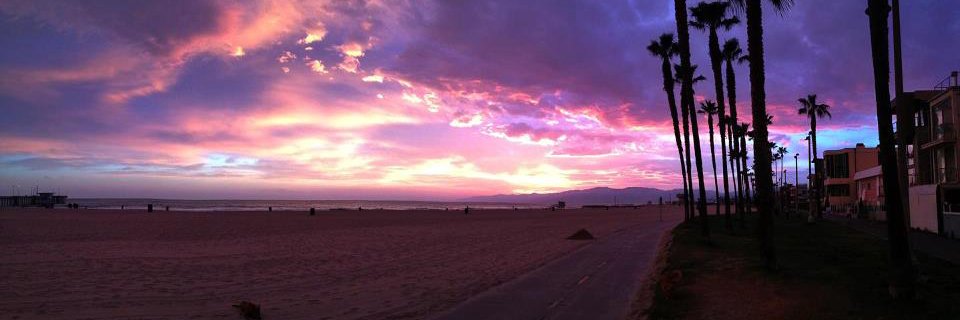 holliestenson's profile banner image