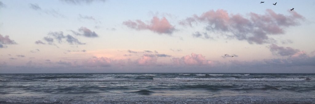 yavlsg's profile banner image