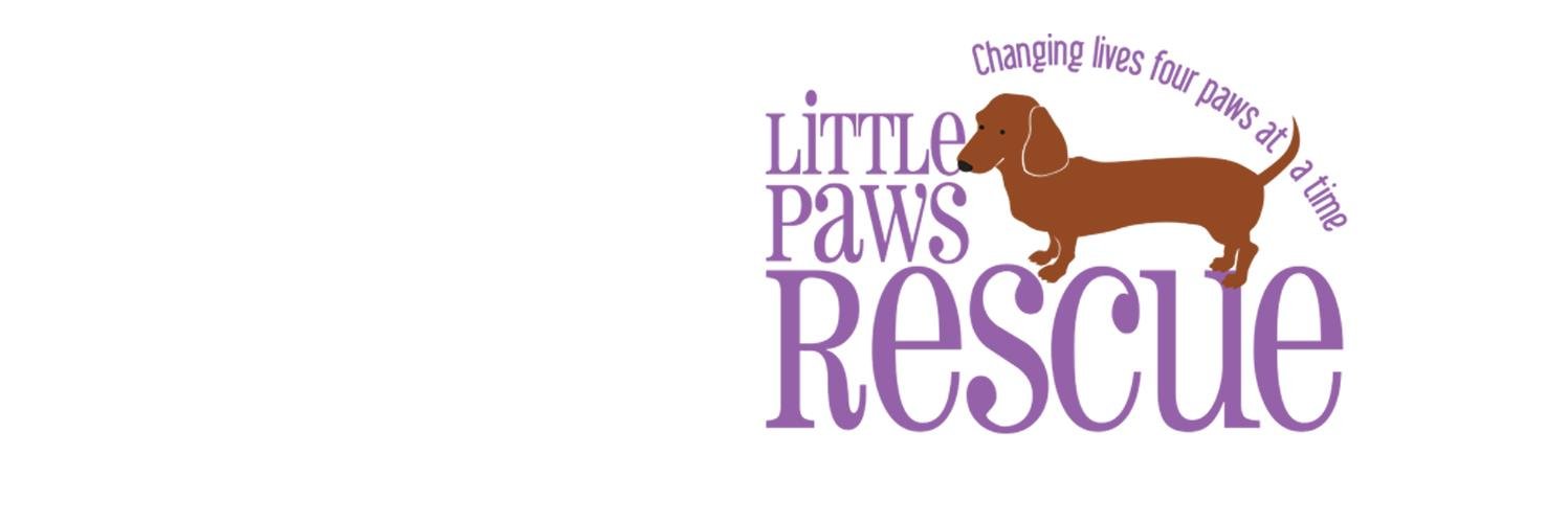 LittlePawsDR's profile banner image