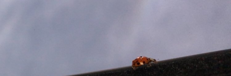 its_claud's profile banner image