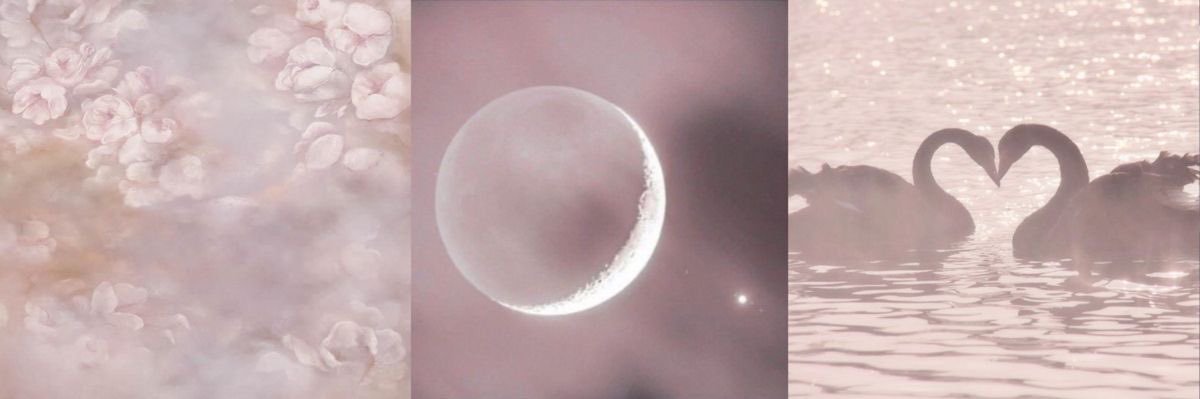 ACE⸆⸉ᴴᴸ ¹ᴰ ✪ IS SEEING NIALL banner