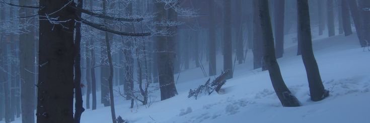 Andromeda 🐳 banner