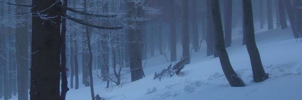 _rxstr Profile Banner
