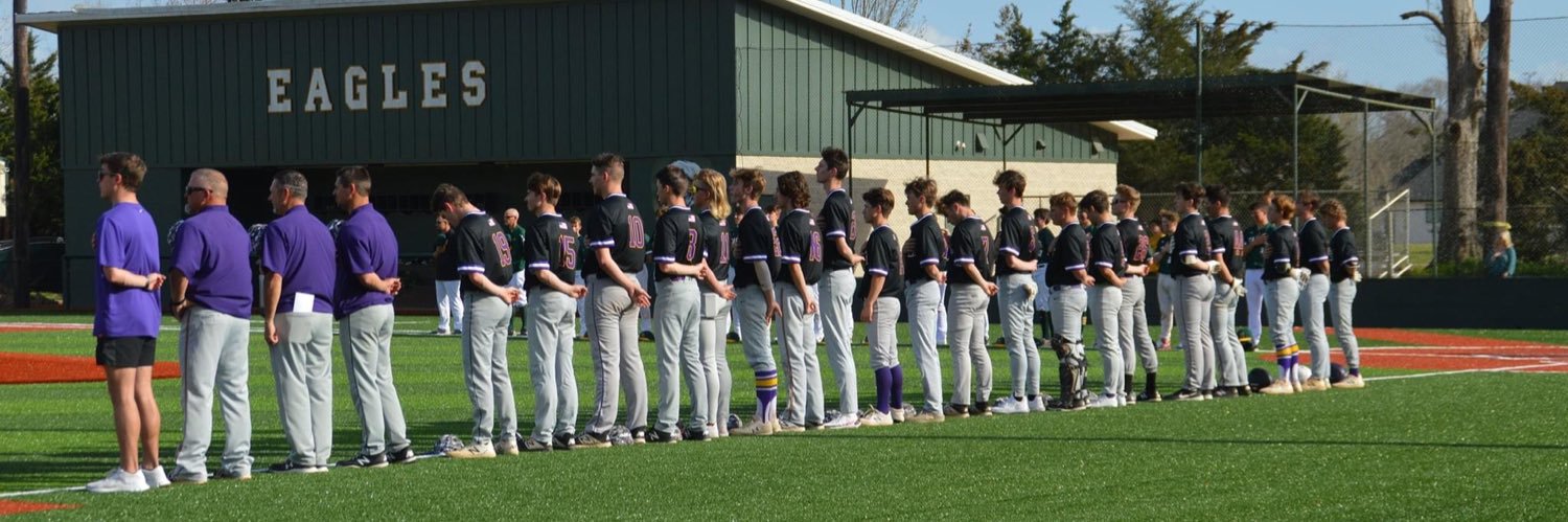 Doyle Tigers Baseball banner