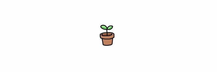 mO⁶✦ banner