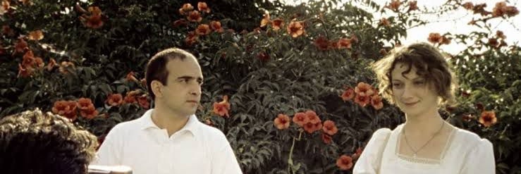 Finch banner
