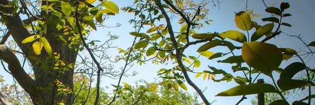 wolfgangknecht's profile banner image