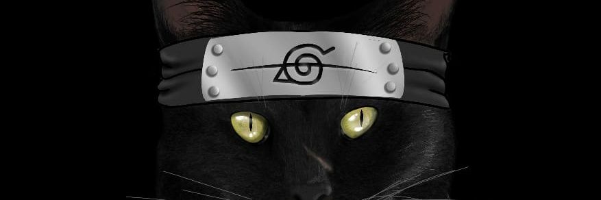 JeronimoKeil's profile banner image