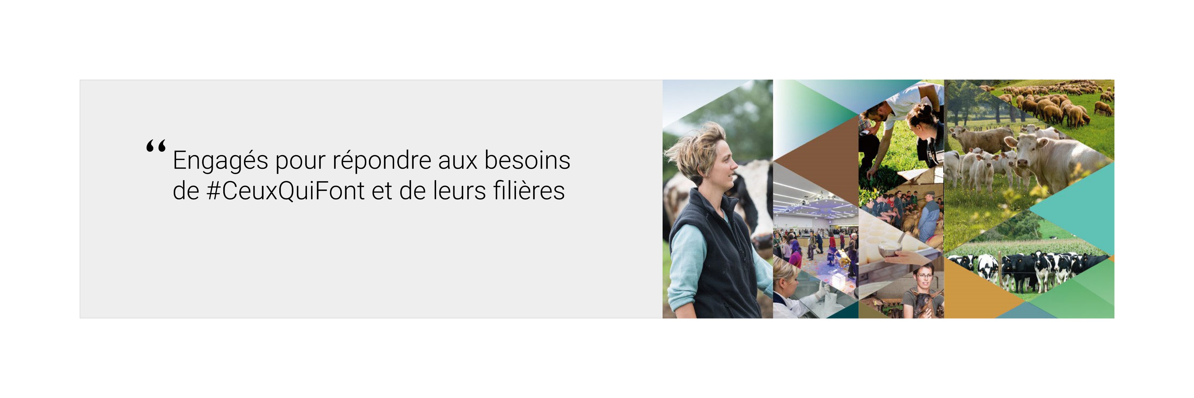 Institut de l'élevage - Idele banner