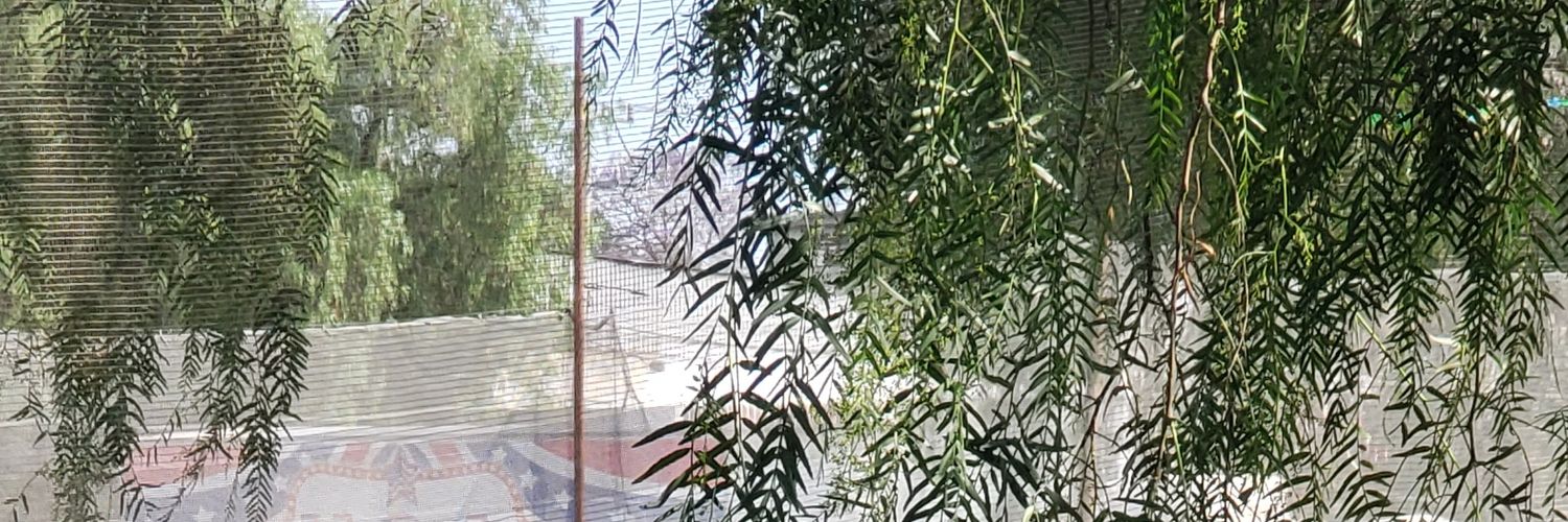 mrodas72's profile banner image