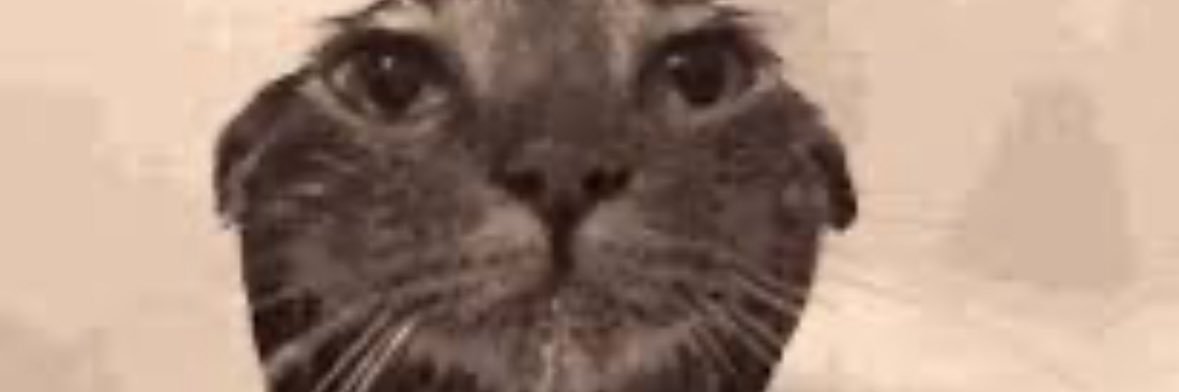 actu4ley3z's profile banner image