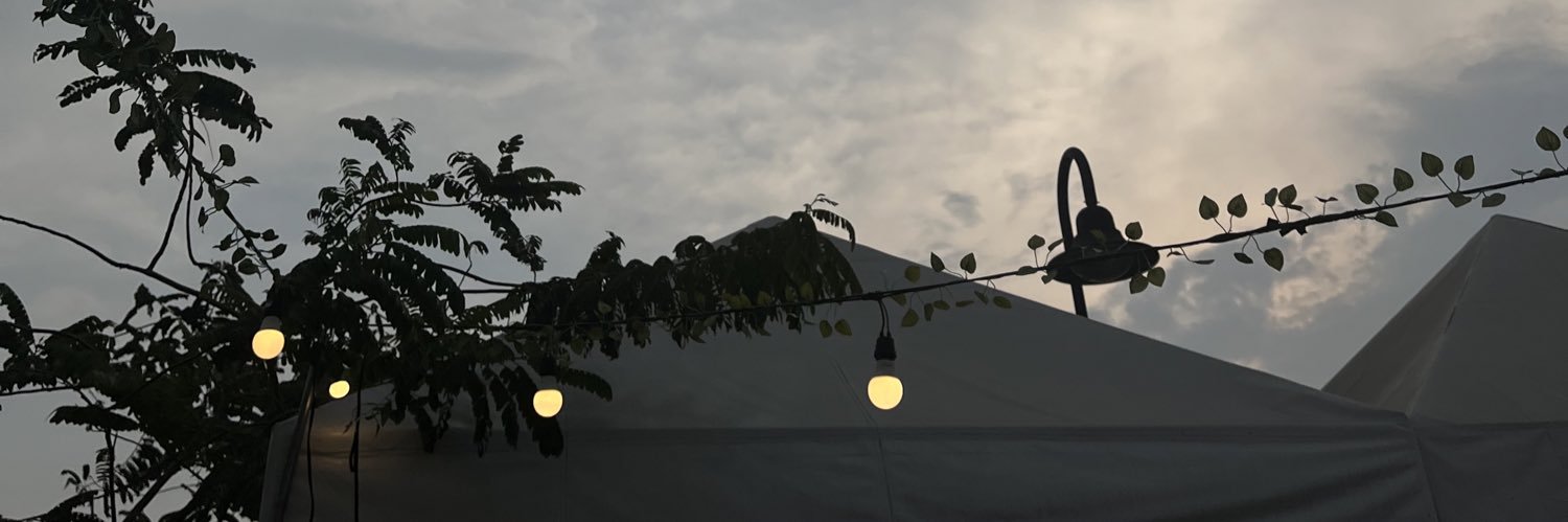 ash banner