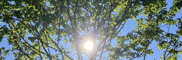 arthurcvrs Profile Banner