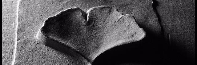 witwiccan's profile banner image