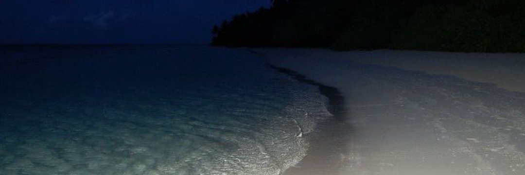 اللهم الجنه🤎 banner