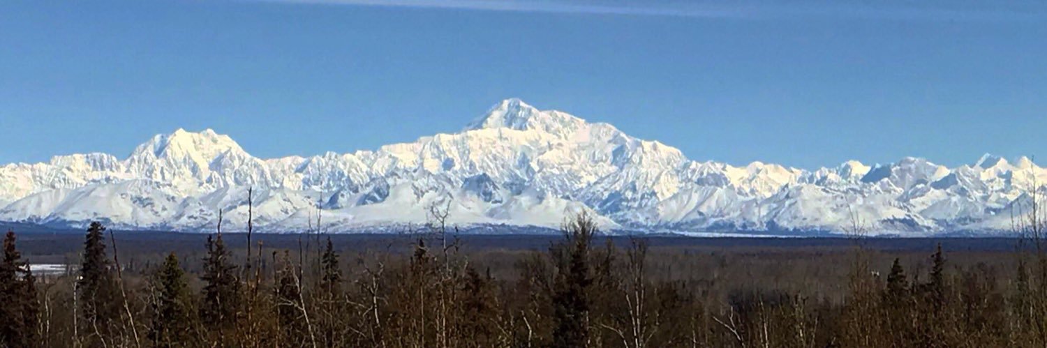 Marge Stoneking banner