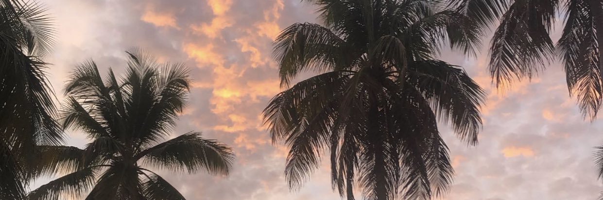 cavrau's profile banner image