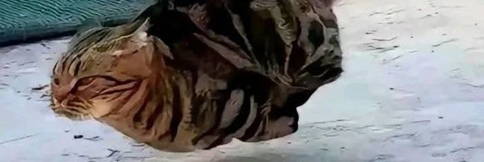 MaddGuuy's profile banner image