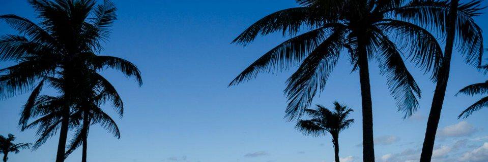 Flavio da Costa banner