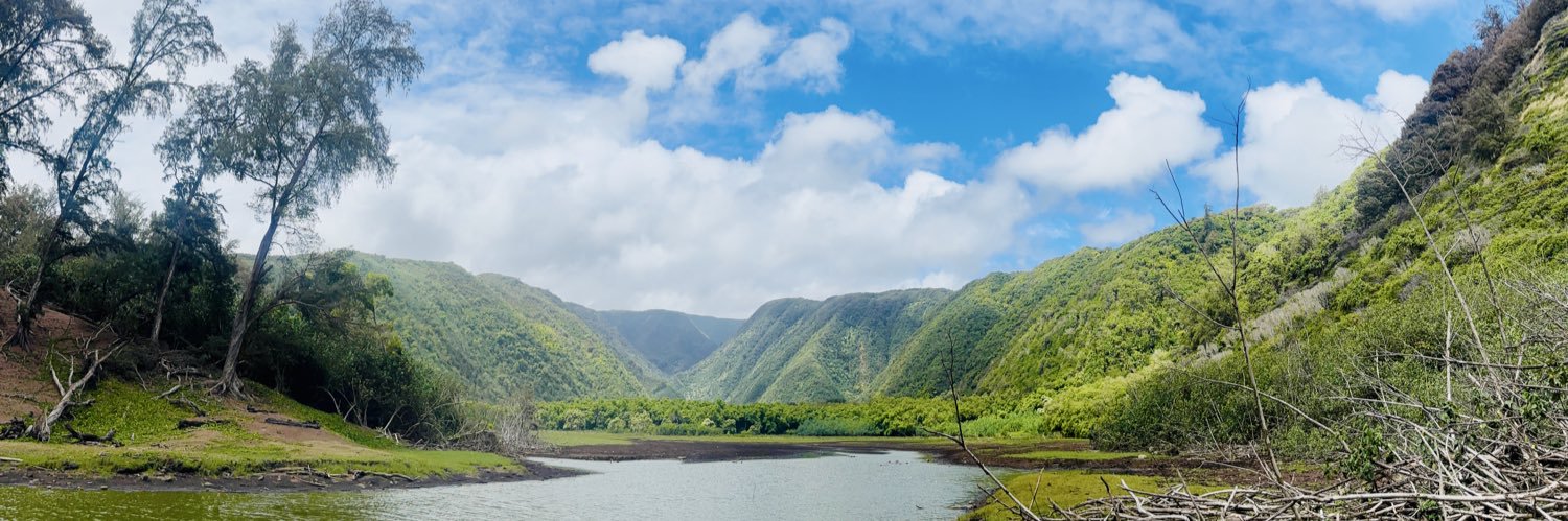 AlohaHODL's profile banner image
