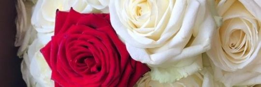 Jenni_pineapple's profile banner image