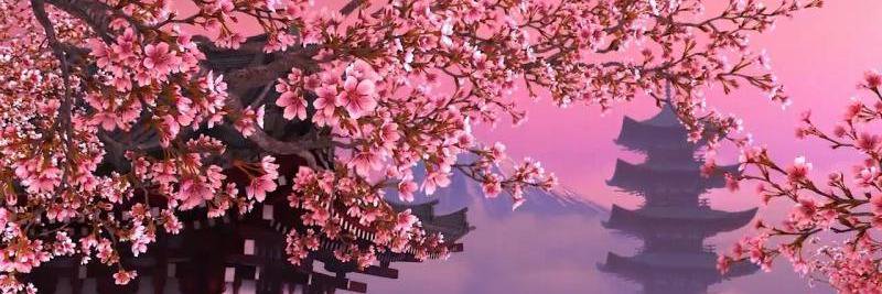 nasmadellil's profile banner image