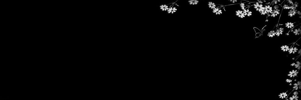 _feitian's profile banner image