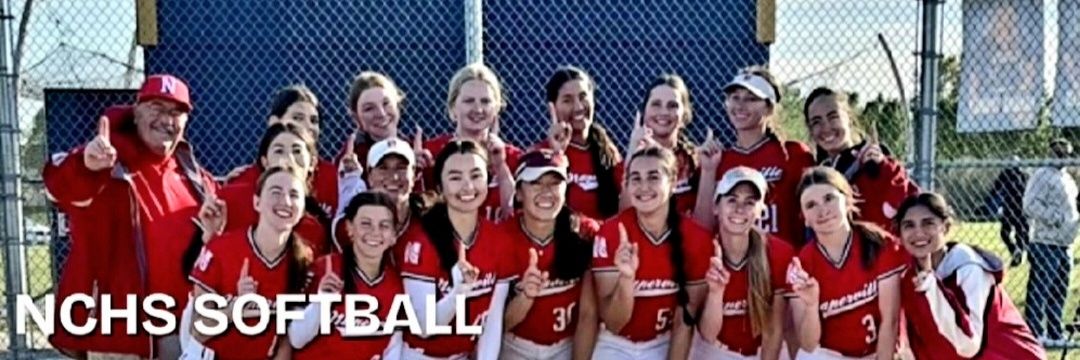 Redhawk Softball banner