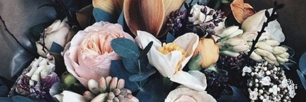PyneBrooke's profile banner image