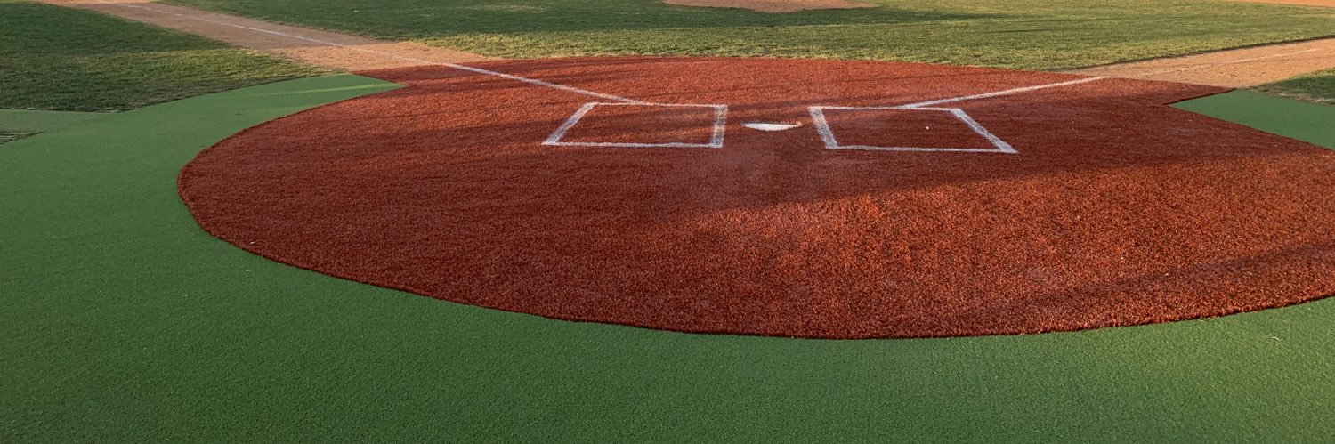 alhs_baseball banner