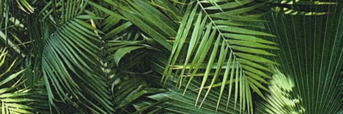 Mayaimi lo confirmo banner