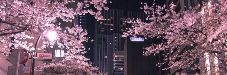 najikasu's profile banner image