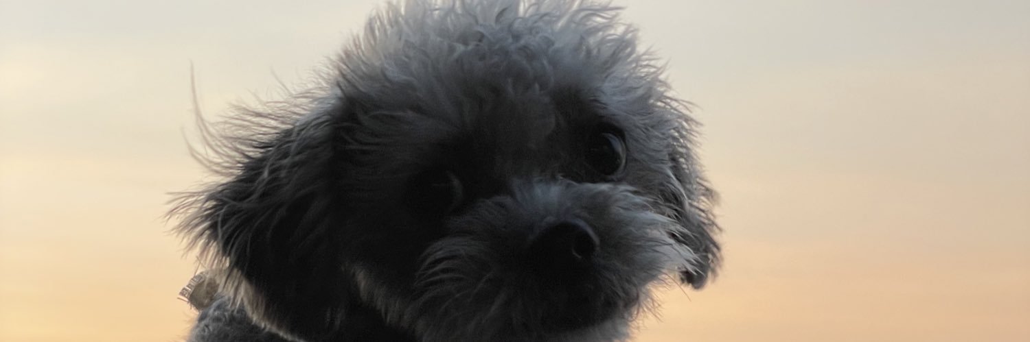 Christo66310760's profile banner image