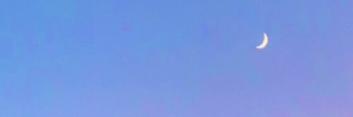 scwid_werd's profile banner image