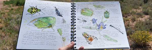 the_leafhopper Profile Banner