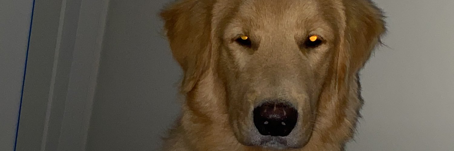 KAMY.KAZE 💥🔥 banner