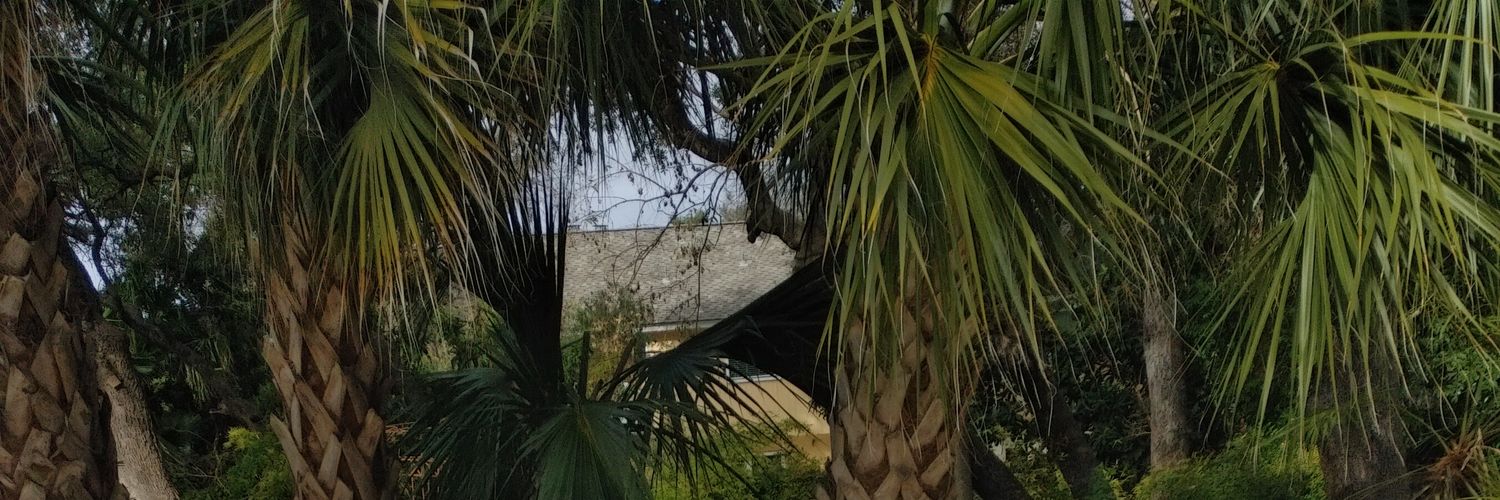 rentisaack's profile banner image