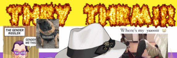 Pheliocake's profile banner image