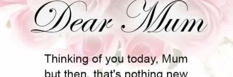 Carol McGee banner